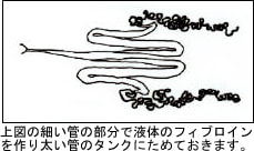 絹糸の工場はどこにある?