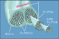 絹糸は絹糸の束でできている?