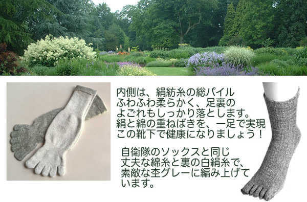 芝生(しばふ)ソックス